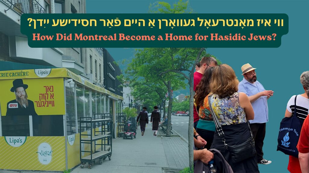 How Did Montreal Become a Home for Hasidic Jews?